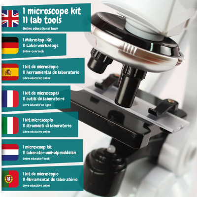 MICROSCOPE. Educational game for children